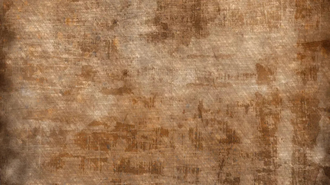 Leonardo 14X8 Ultracloth ( 168 X 96 Inch ) Backdrop