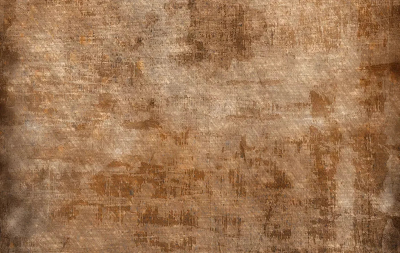 Leonardo 16X10 Ultracloth ( 192 X 120 Inch ) Backdrop