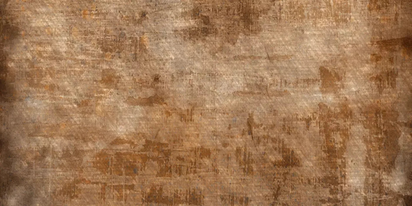 Leonardo 20X10 Ultracloth ( 240 X 120 Inch ) Backdrop