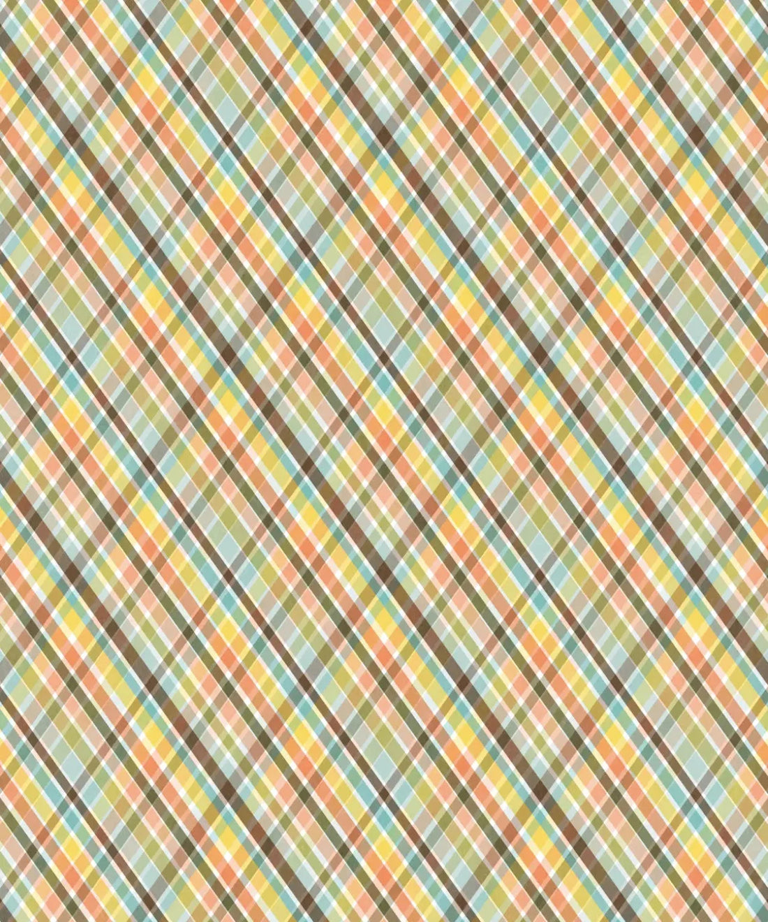 Multi-Color Pattern Backdrop for Photography