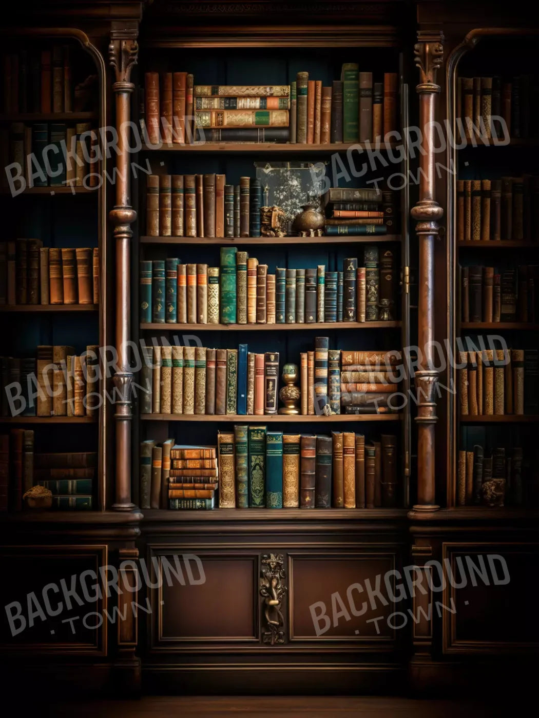 Library Wall Vertical 6X8 Fleece ( 72 X 96 Inch ) Backdrop