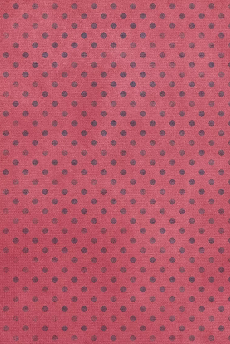 Liddie Backdrop