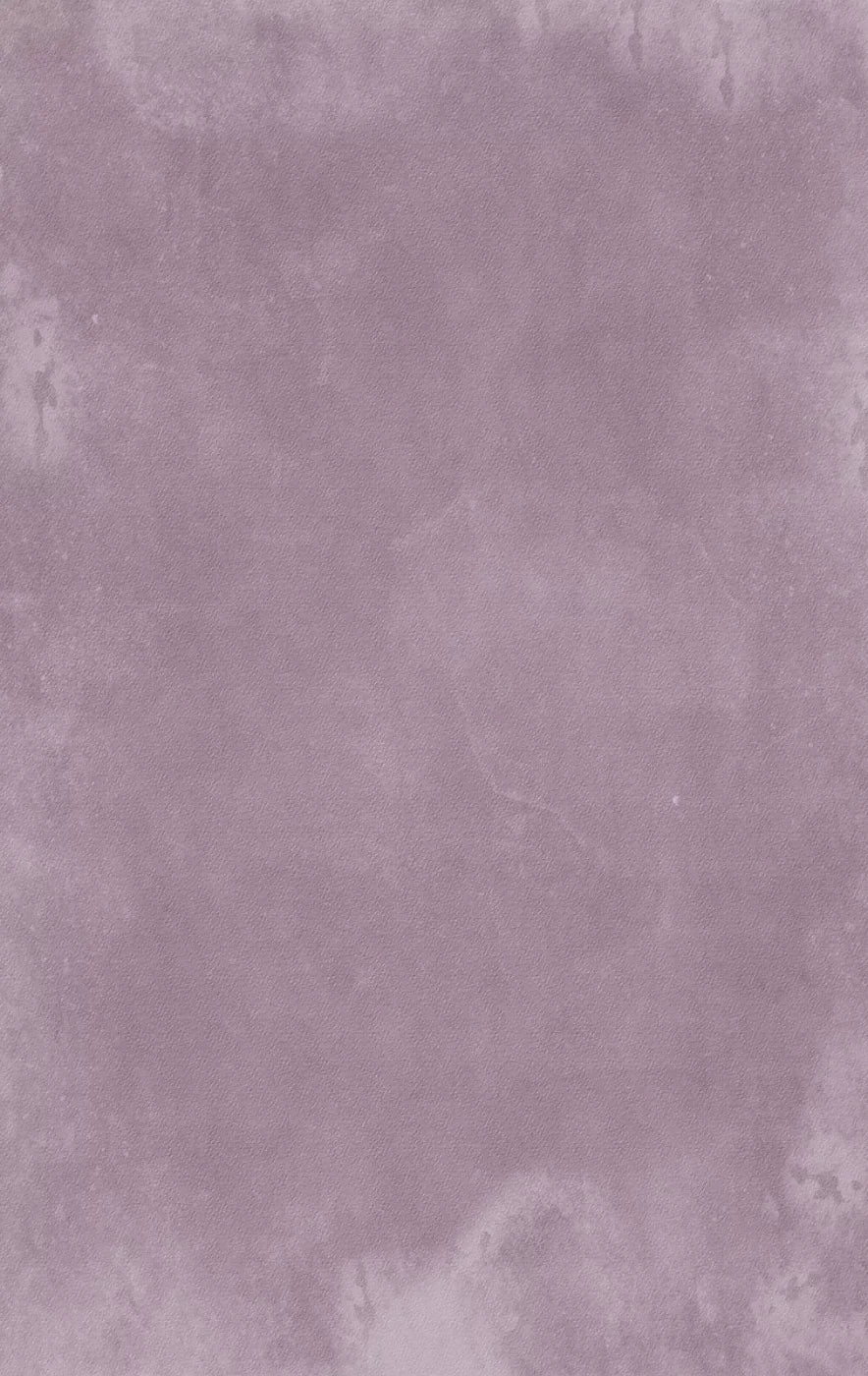 Lilac Dream 10X16 Ultracloth ( 120 X 192 Inch ) Backdrop