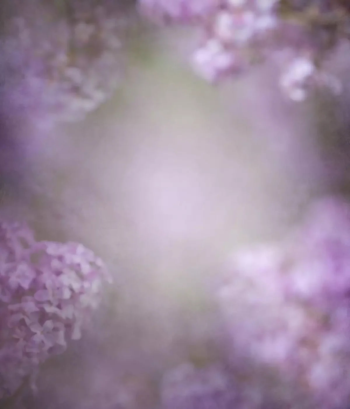 Lilac Dreams 10X12 Ultracloth ( 120 X 144 Inch ) Backdrop