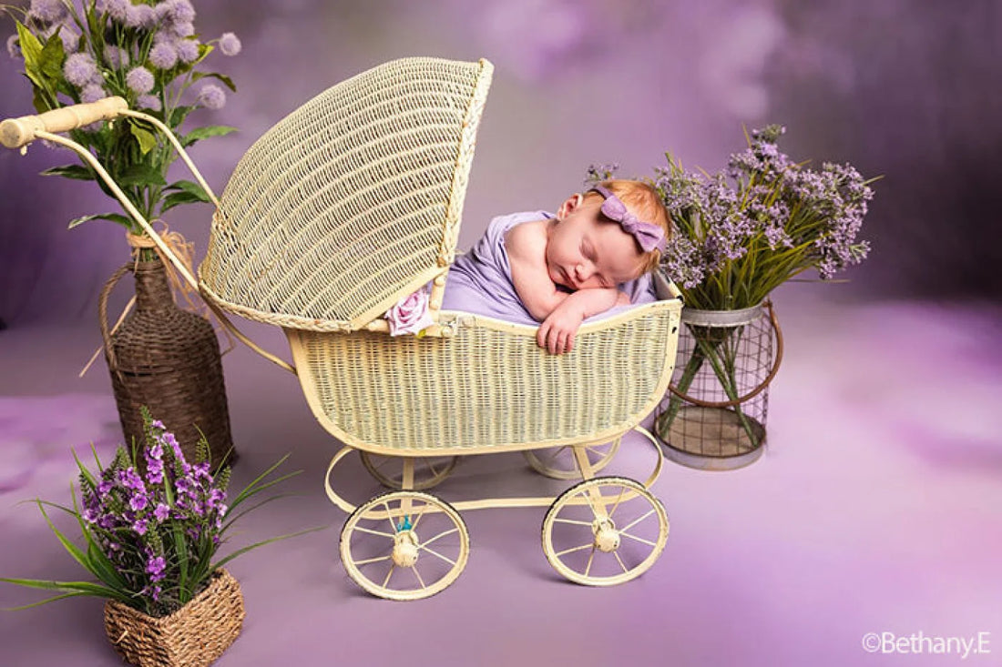 Lilac Dreams Backdrop