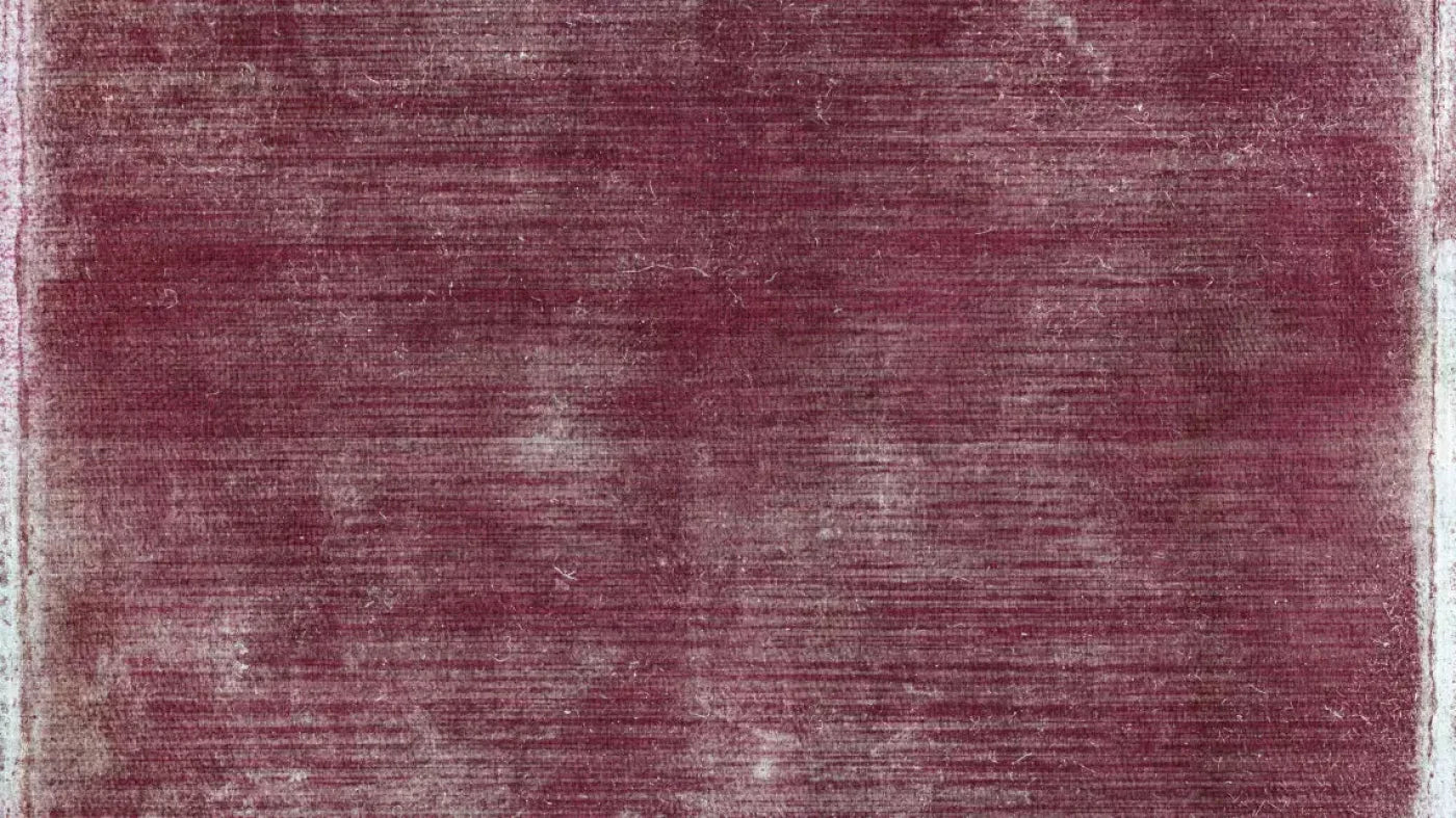 Lillian 14X8 Ultracloth ( 168 X 96 Inch ) Backdrop