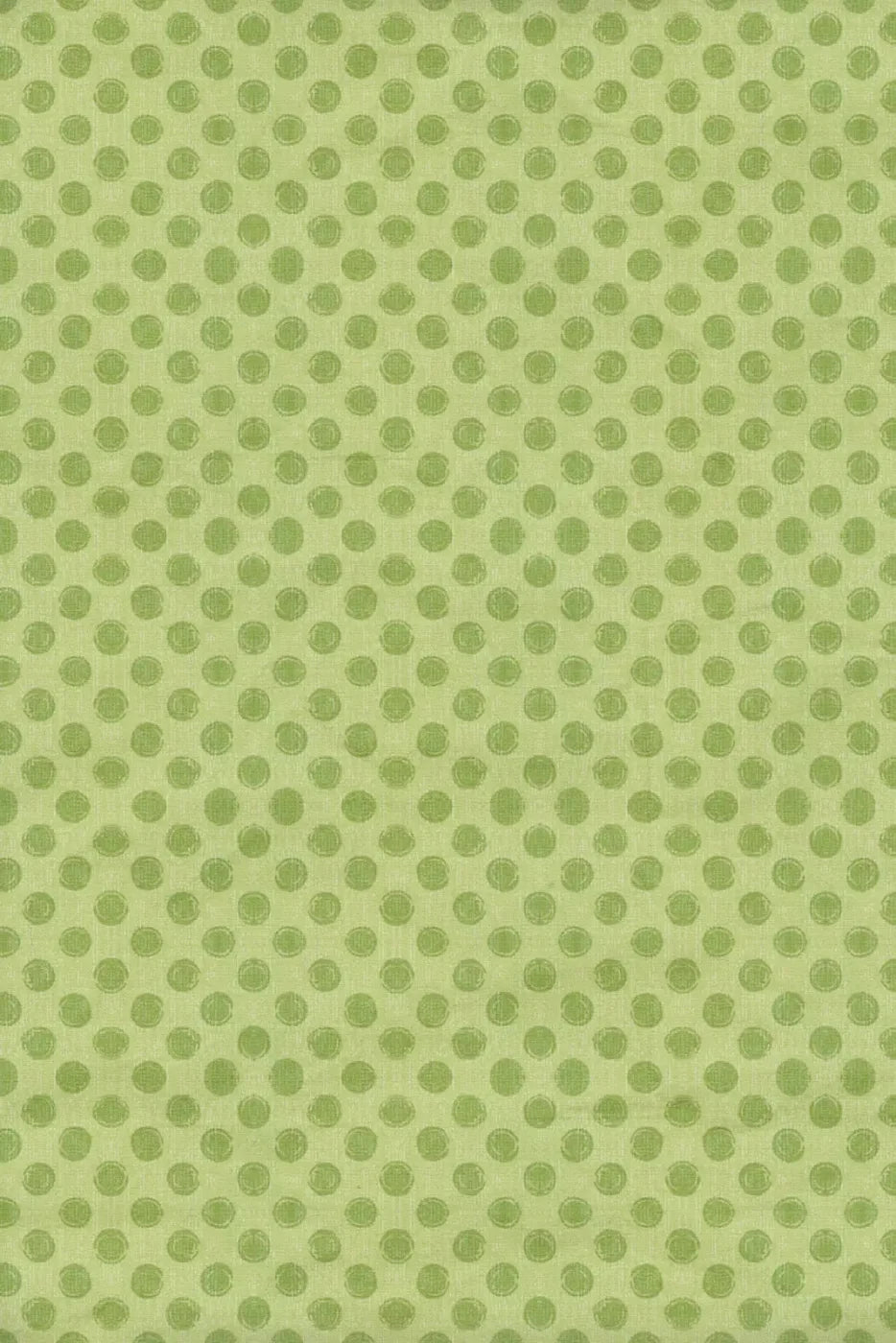 Lime Delight Backdrop