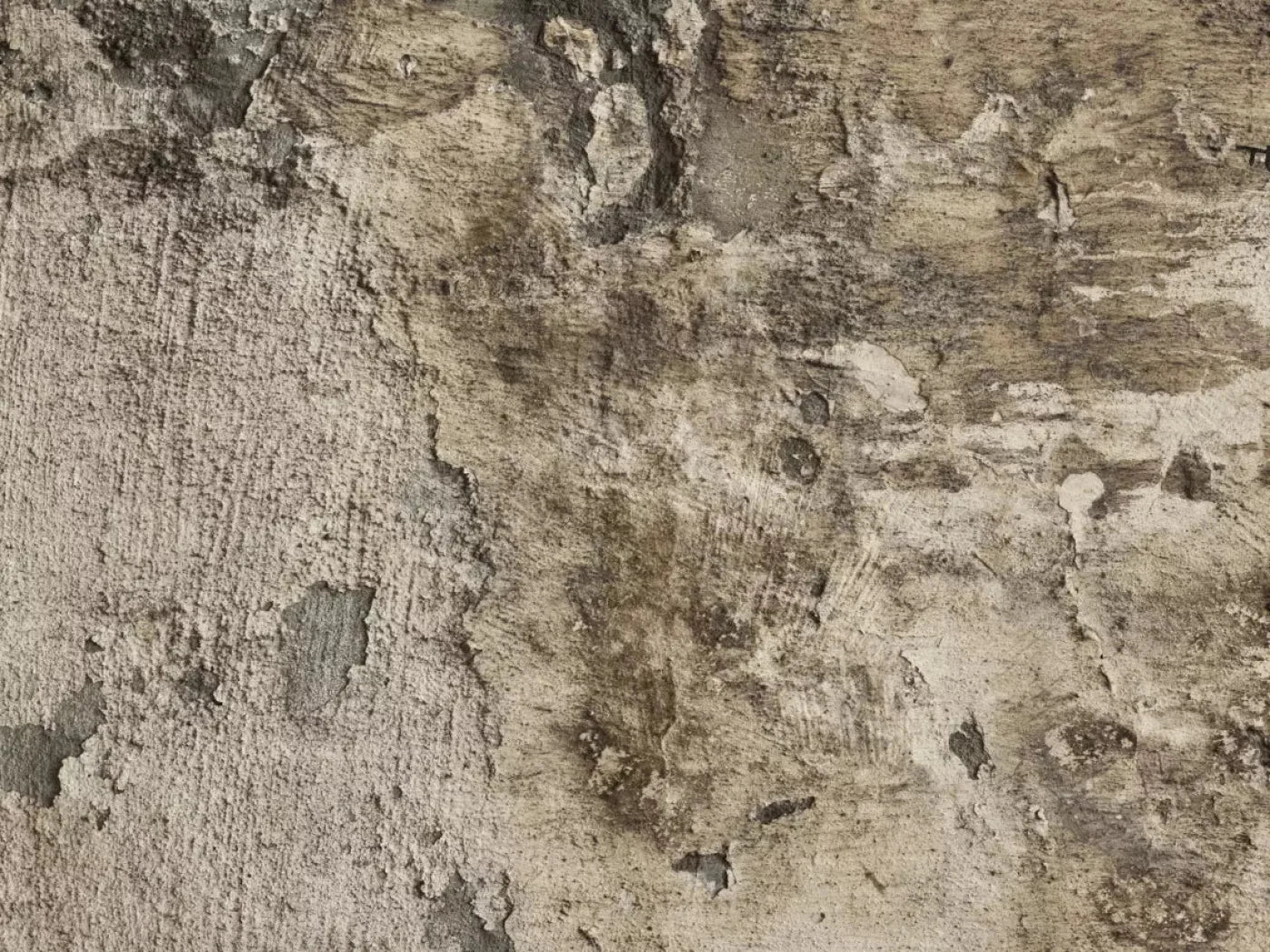 Limited 10X8 Fleece ( 120 X 96 Inch ) Backdrop