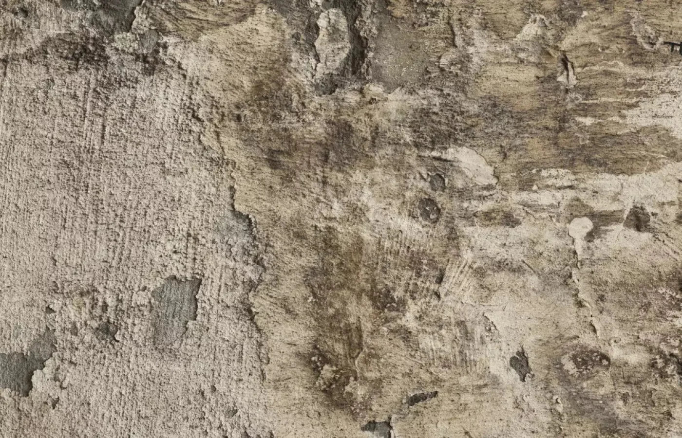 Limited 12X8 Ultracloth ( 144 X 96 Inch ) Backdrop