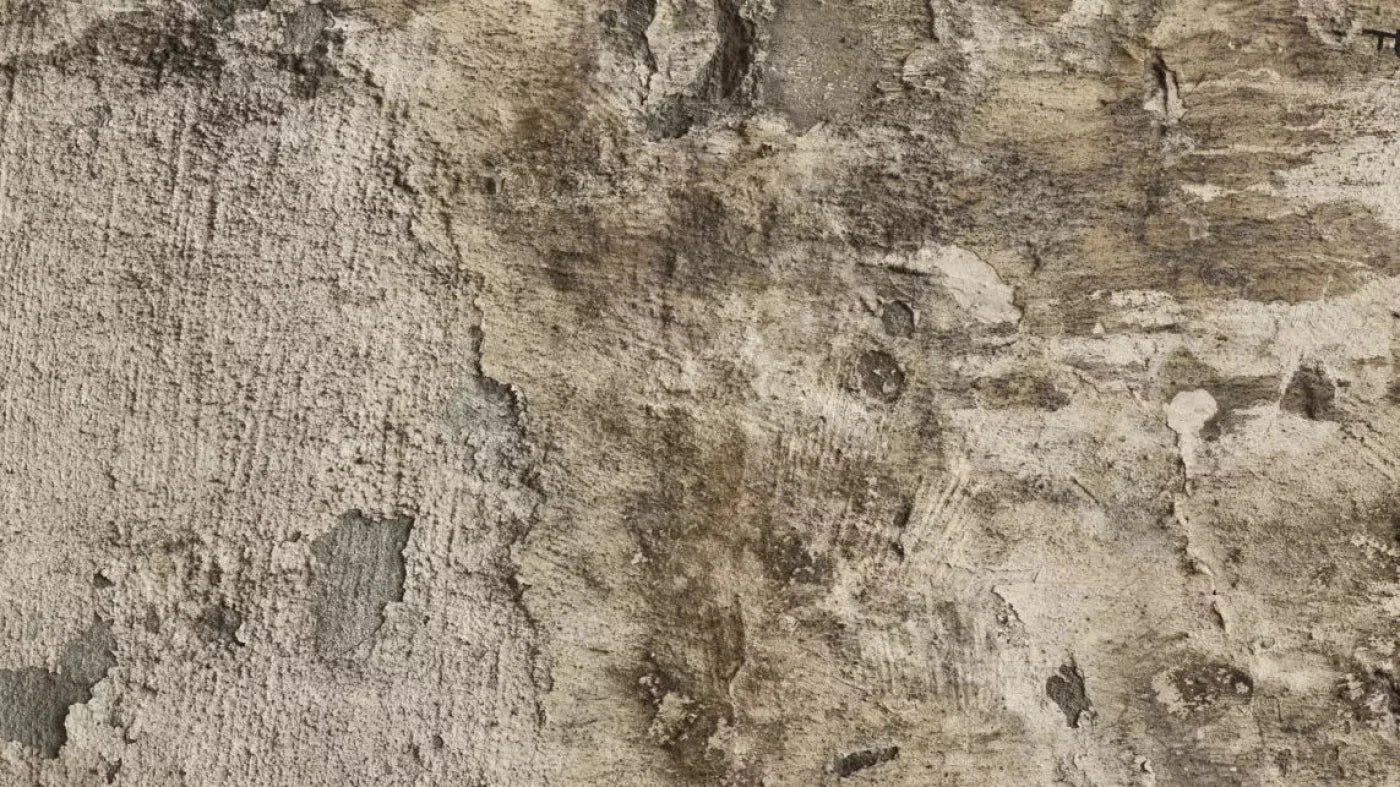 Limited 14X8 Ultracloth ( 168 X 96 Inch ) Backdrop