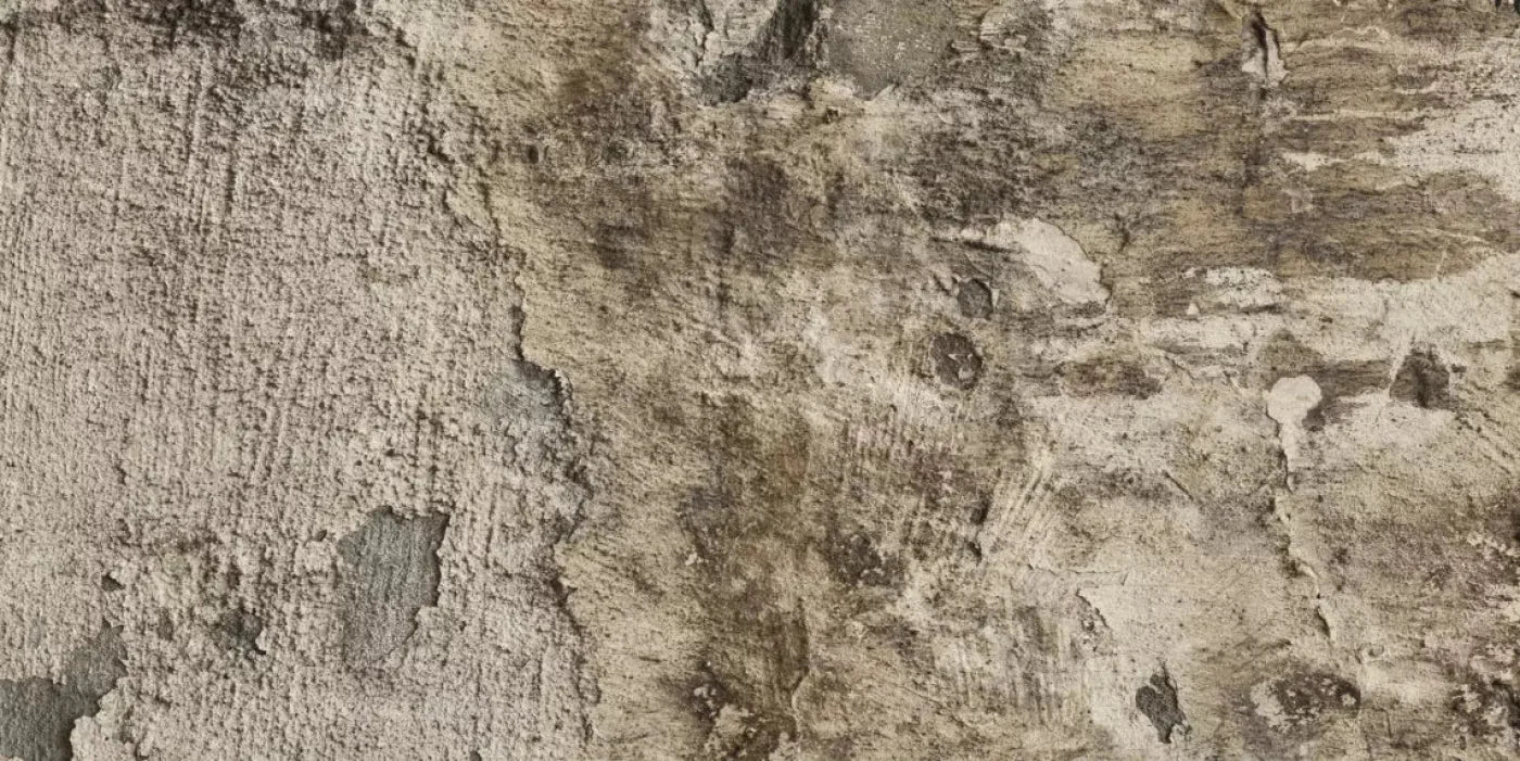 Limited 20X10 Ultracloth ( 240 X 120 Inch ) Backdrop