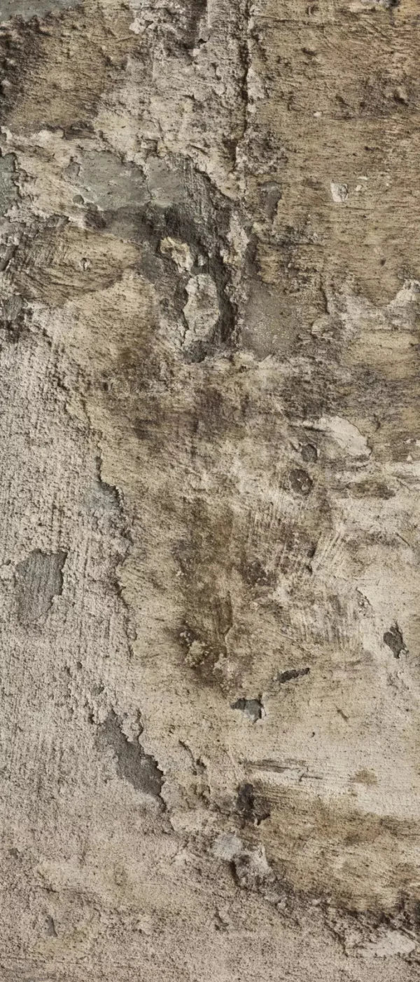 Limited 5X12 Ultracloth For Westcott X-Drop ( 60 X 144 Inch ) Backdrop