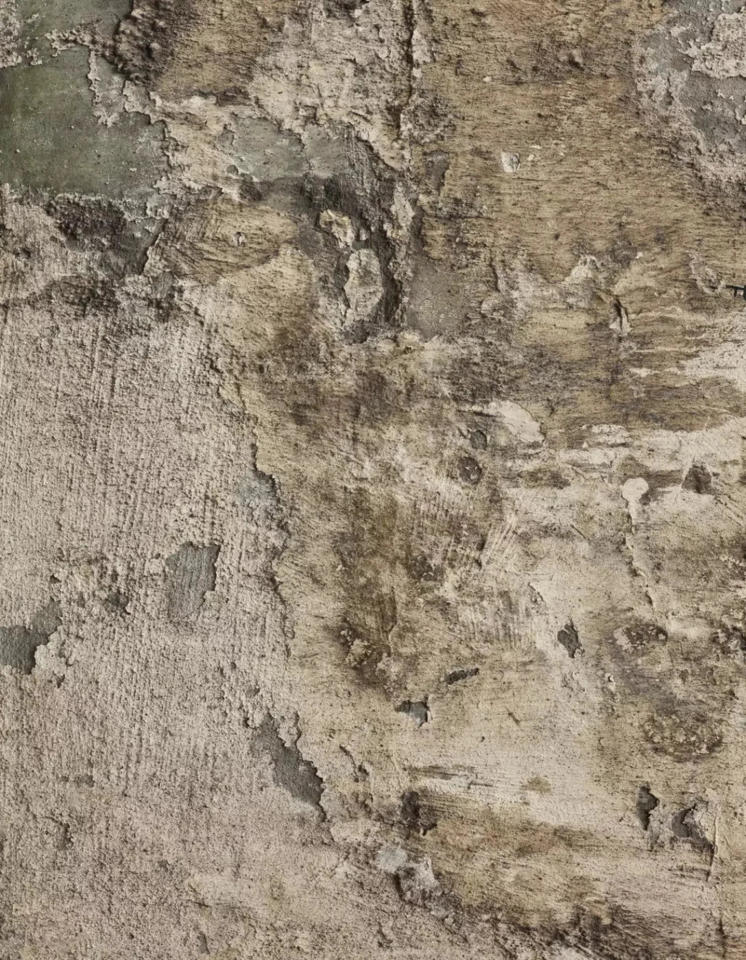 Limited 6X8 Fleece ( 72 X 96 Inch ) Backdrop