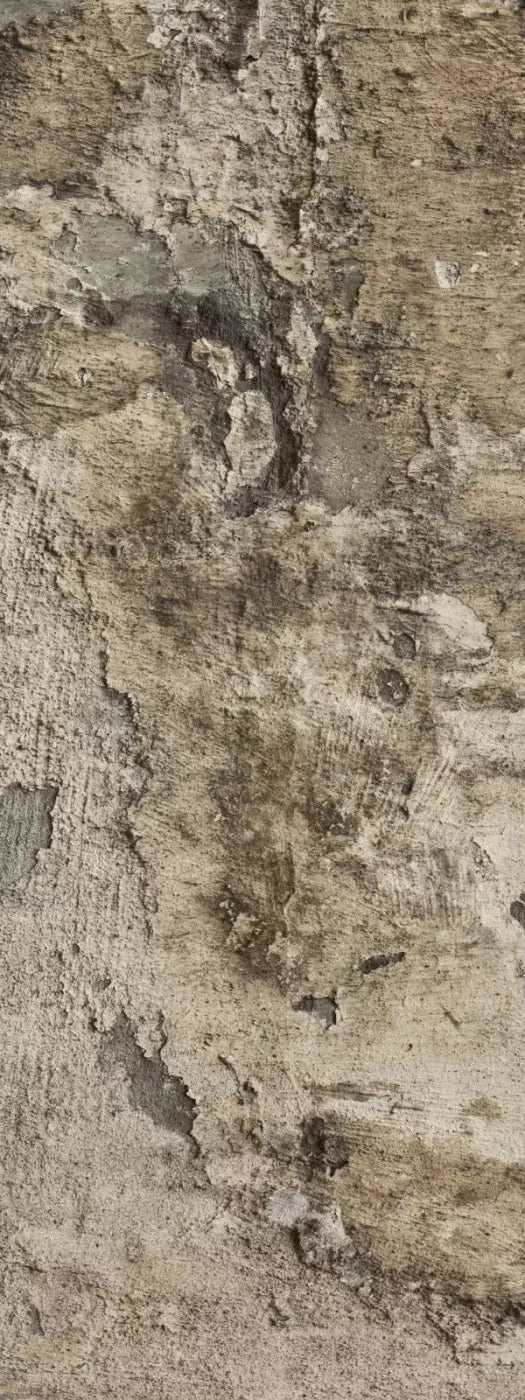 Limited 8X20 Ultracloth ( 96 X 240 Inch ) Backdrop