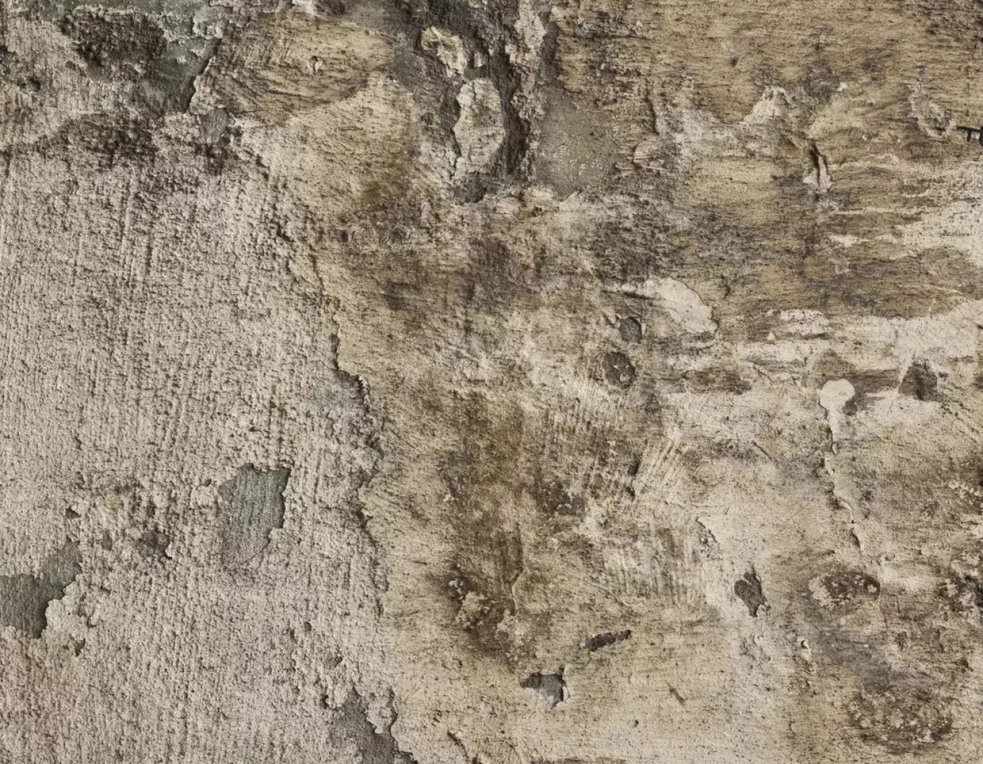 Limited 8X6 Fleece ( 96 X 72 Inch ) Backdrop