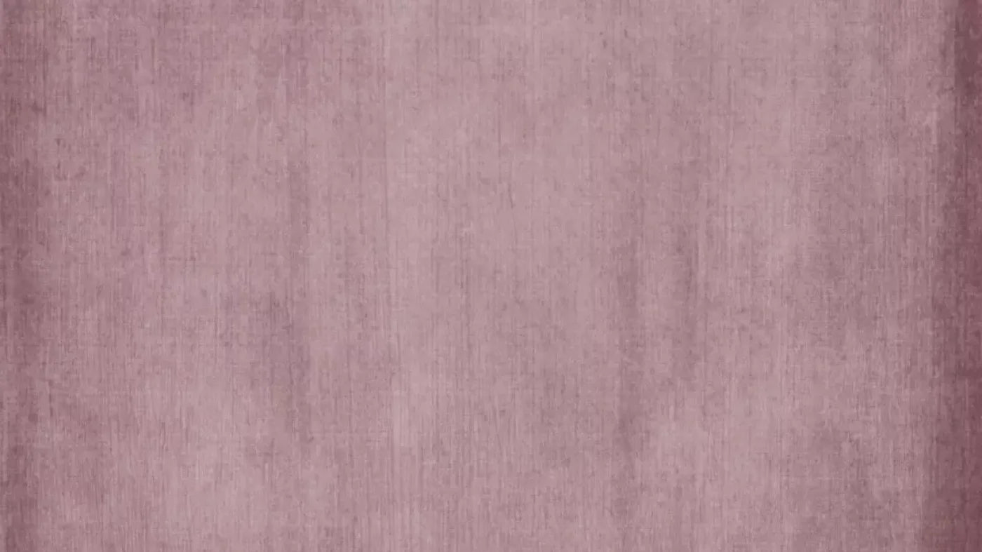 Lindi 14X8 Ultracloth ( 168 X 96 Inch ) Backdrop