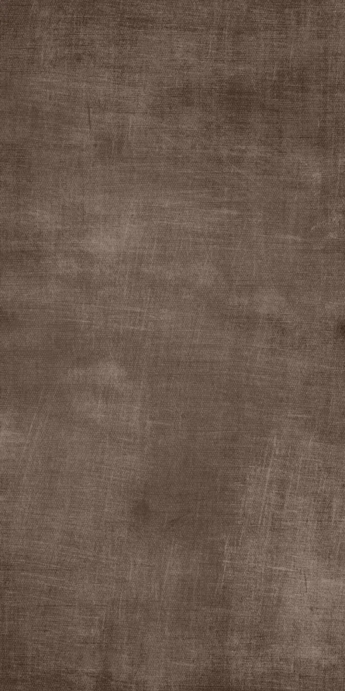 Linen 10X20 Ultracloth ( 120 X 240 Inch ) Backdrop
