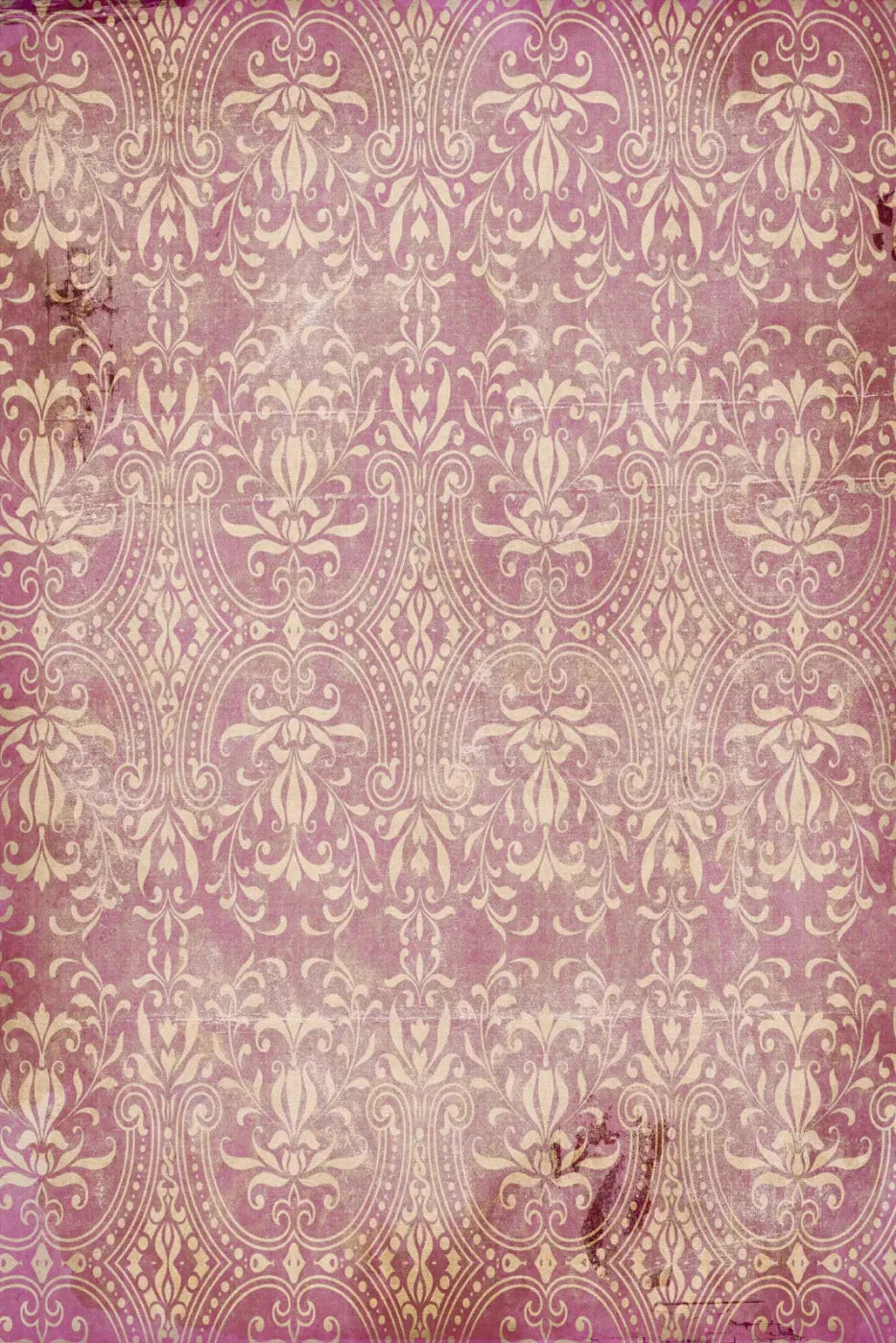 Lita Backdrop