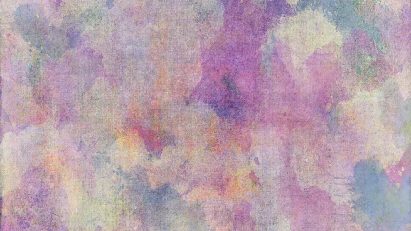 Liz 14X8 Ultracloth ( 168 X 96 Inch ) Backdrop