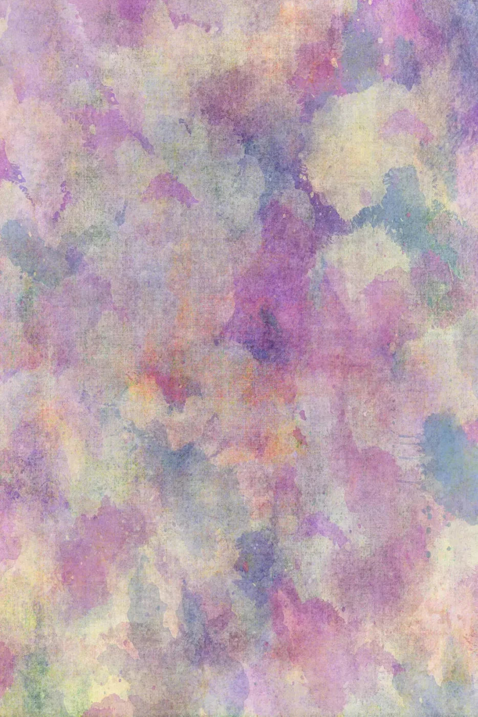 Liz Backdrop