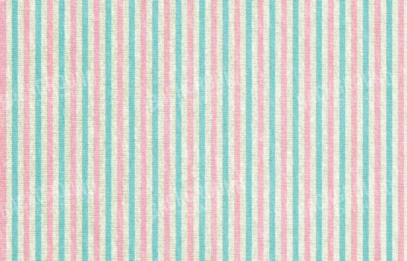 Lizette 12X8 Ultracloth ( 144 X 96 Inch ) Backdrop