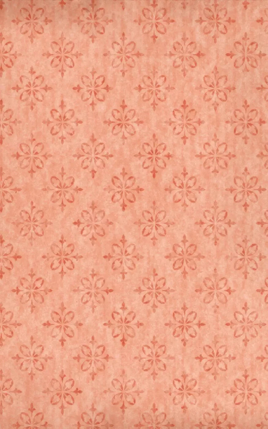 Lizzie 9X14 Ultracloth ( 108 X 168 Inch ) Backdrop