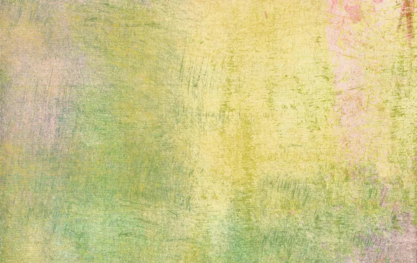 Lolli 16X10 Ultracloth ( 192 X 120 Inch ) Backdrop