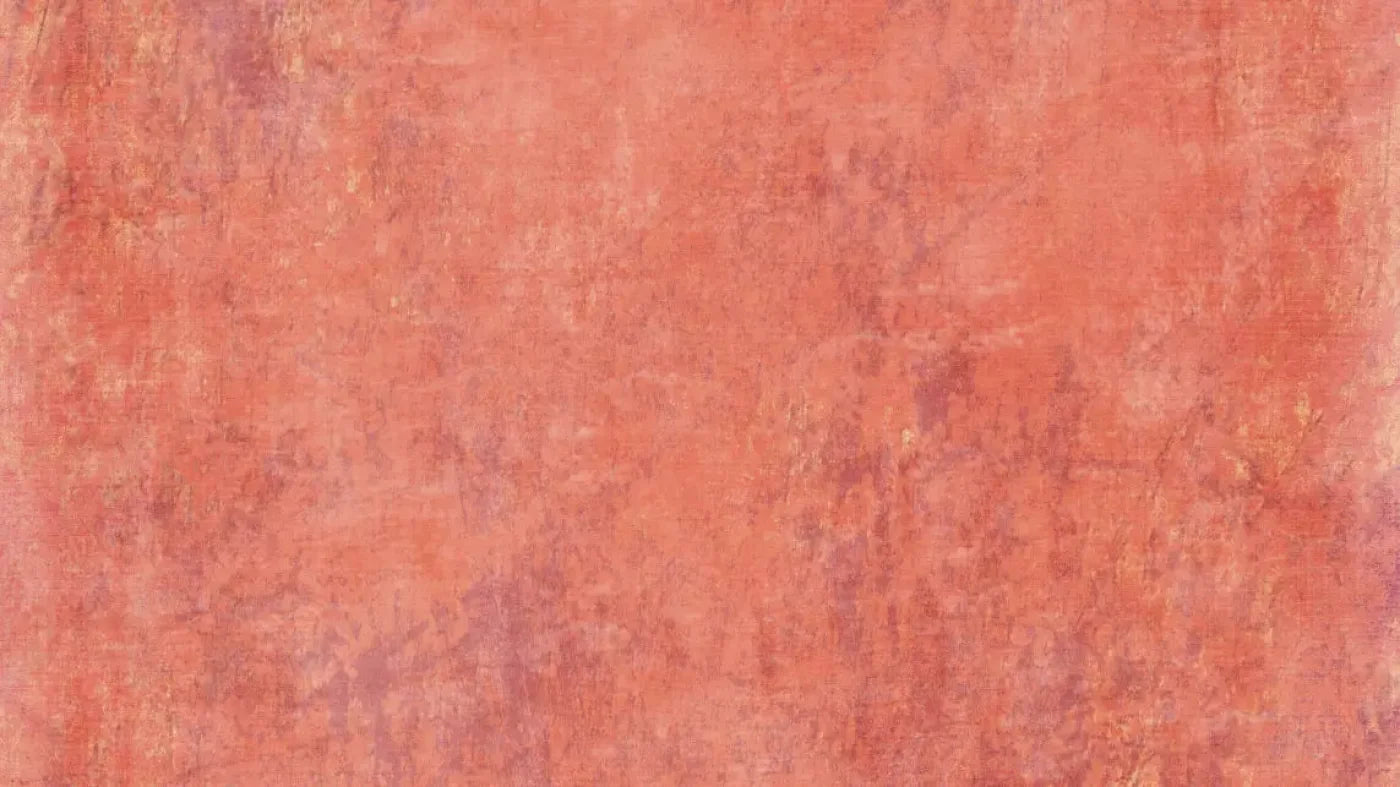 Lonna 14X8 Ultracloth ( 168 X 96 Inch ) Backdrop