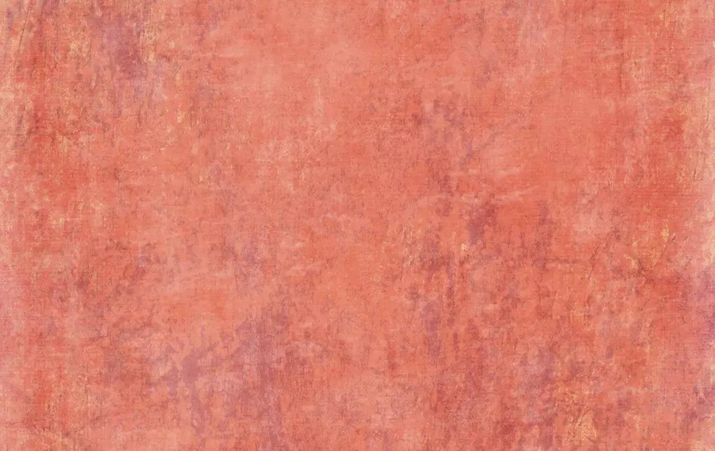Lonna 16X10 Ultracloth ( 192 X 120 Inch ) Backdrop