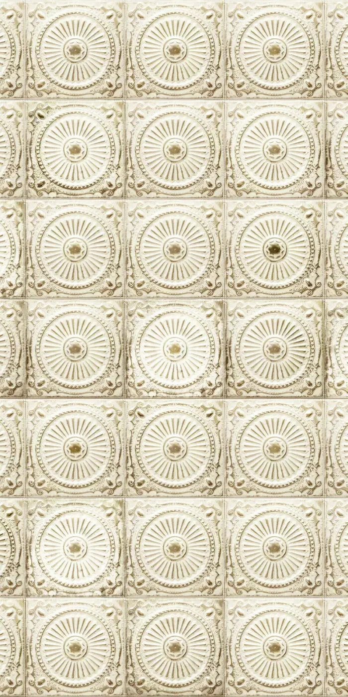 Loop 10X20 Ultracloth ( 120 X 240 Inch ) Backdrop