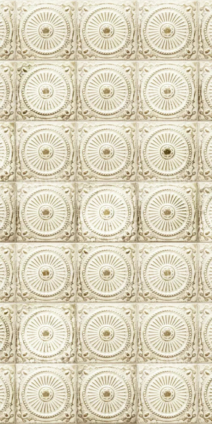 Loop 10X20 Ultracloth ( 120 X 240 Inch ) Backdrop