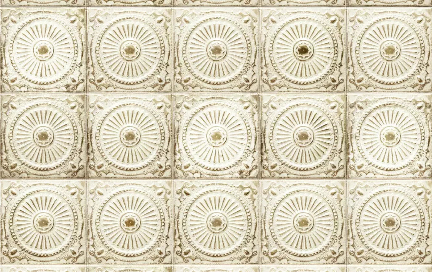 Loop 16X10 Ultracloth ( 192 X 120 Inch ) Backdrop