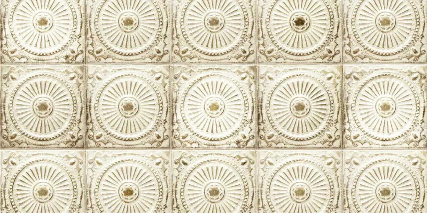 Loop 20X10 Ultracloth ( 240 X 120 Inch ) Backdrop