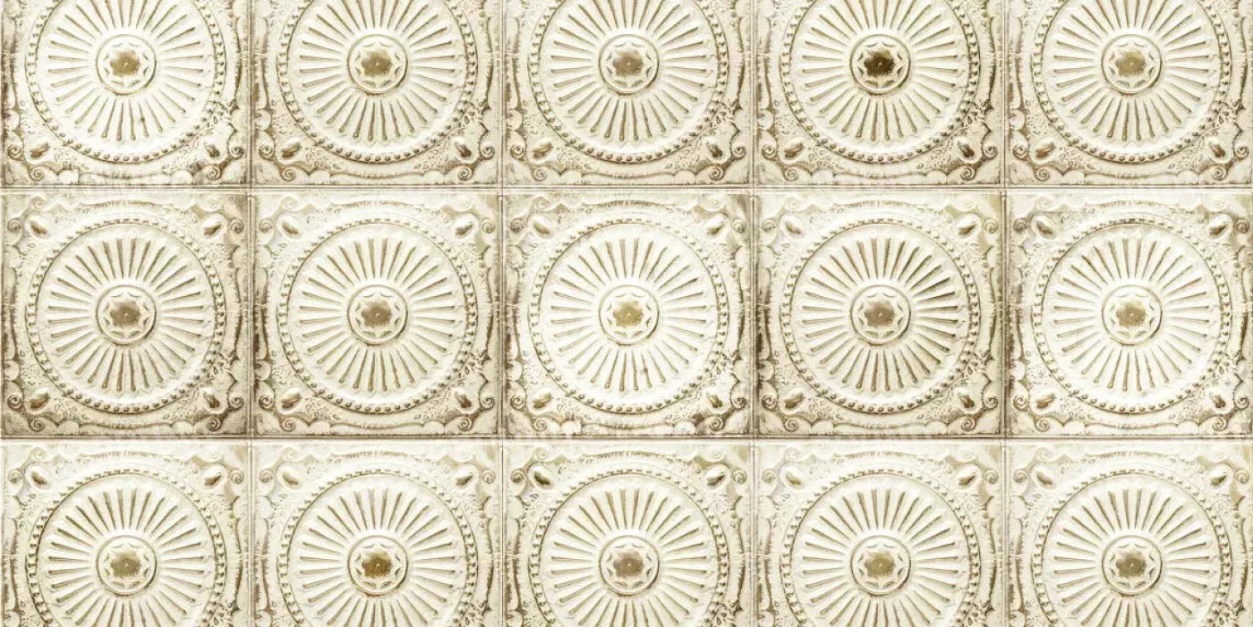 Loop 20X10 Ultracloth ( 240 X 120 Inch ) Backdrop