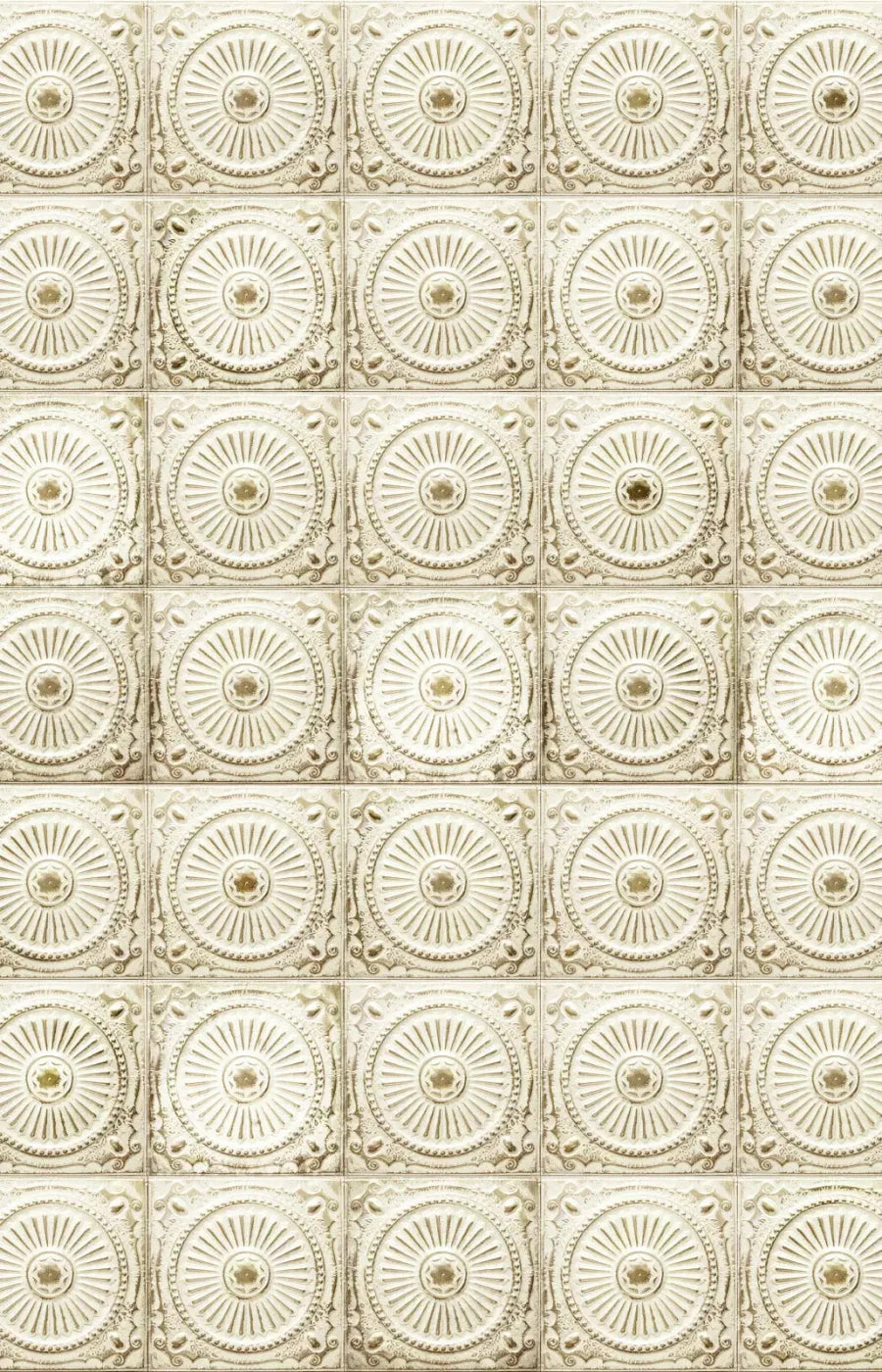 Loop 8X12 Ultracloth ( 96 X 144 Inch ) Backdrop