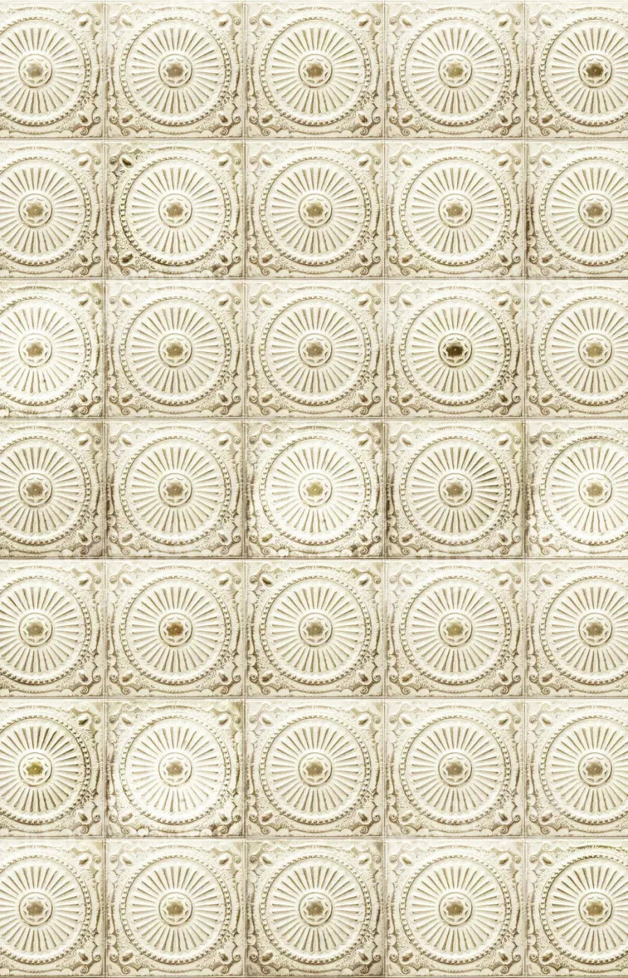 Loop 8X12 Ultracloth ( 96 X 144 Inch ) Backdrop