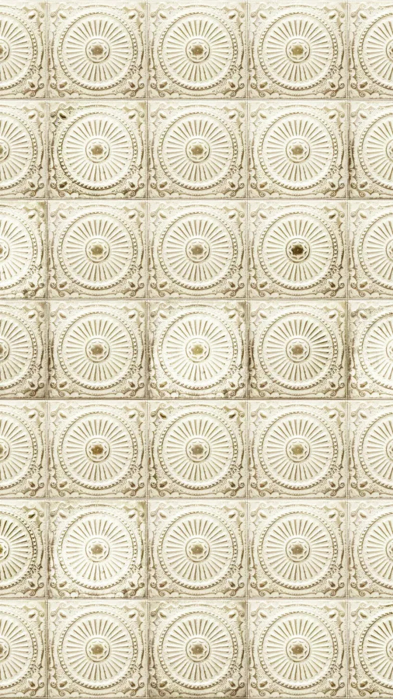 Loop 8X14 Ultracloth ( 96 X 168 Inch ) Backdrop