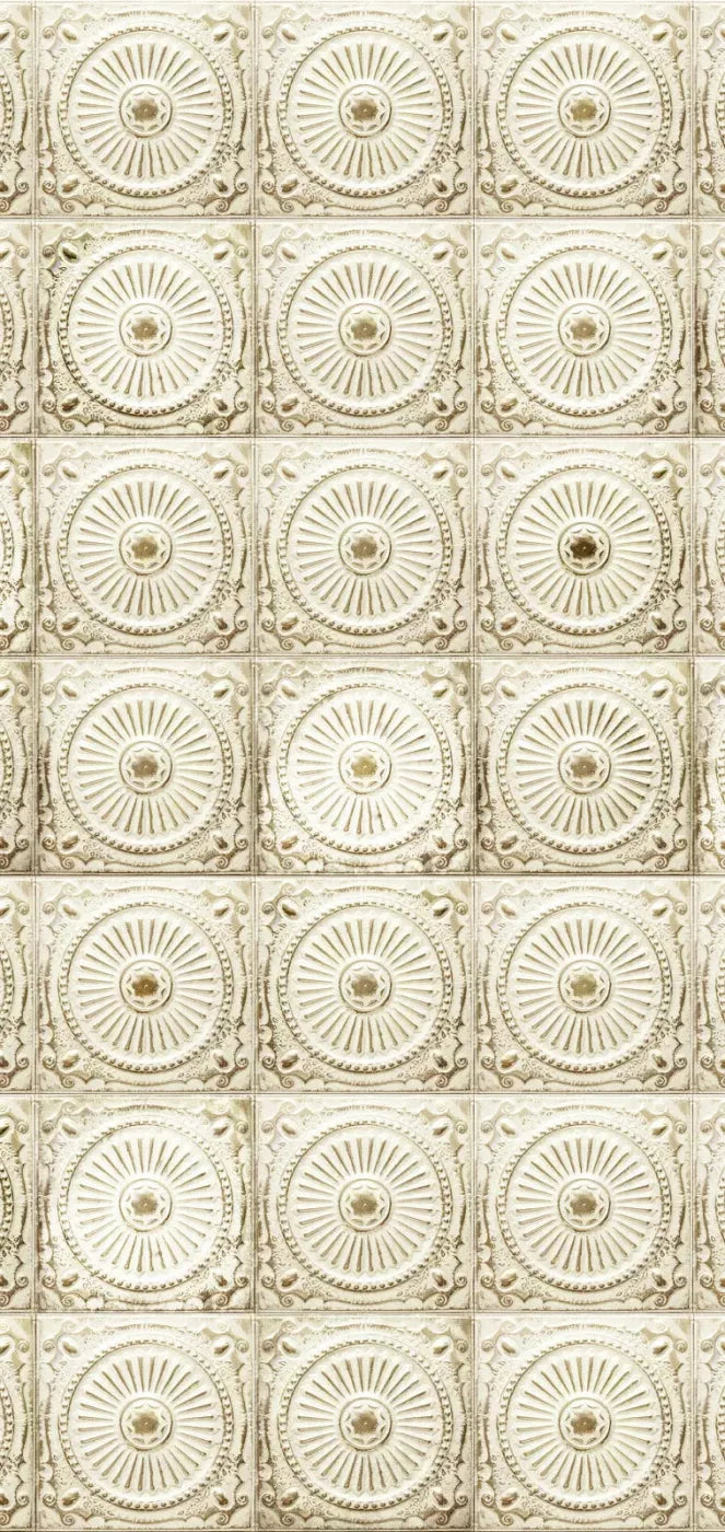 Loop 8X16 Ultracloth ( 96 X 192 Inch ) Backdrop