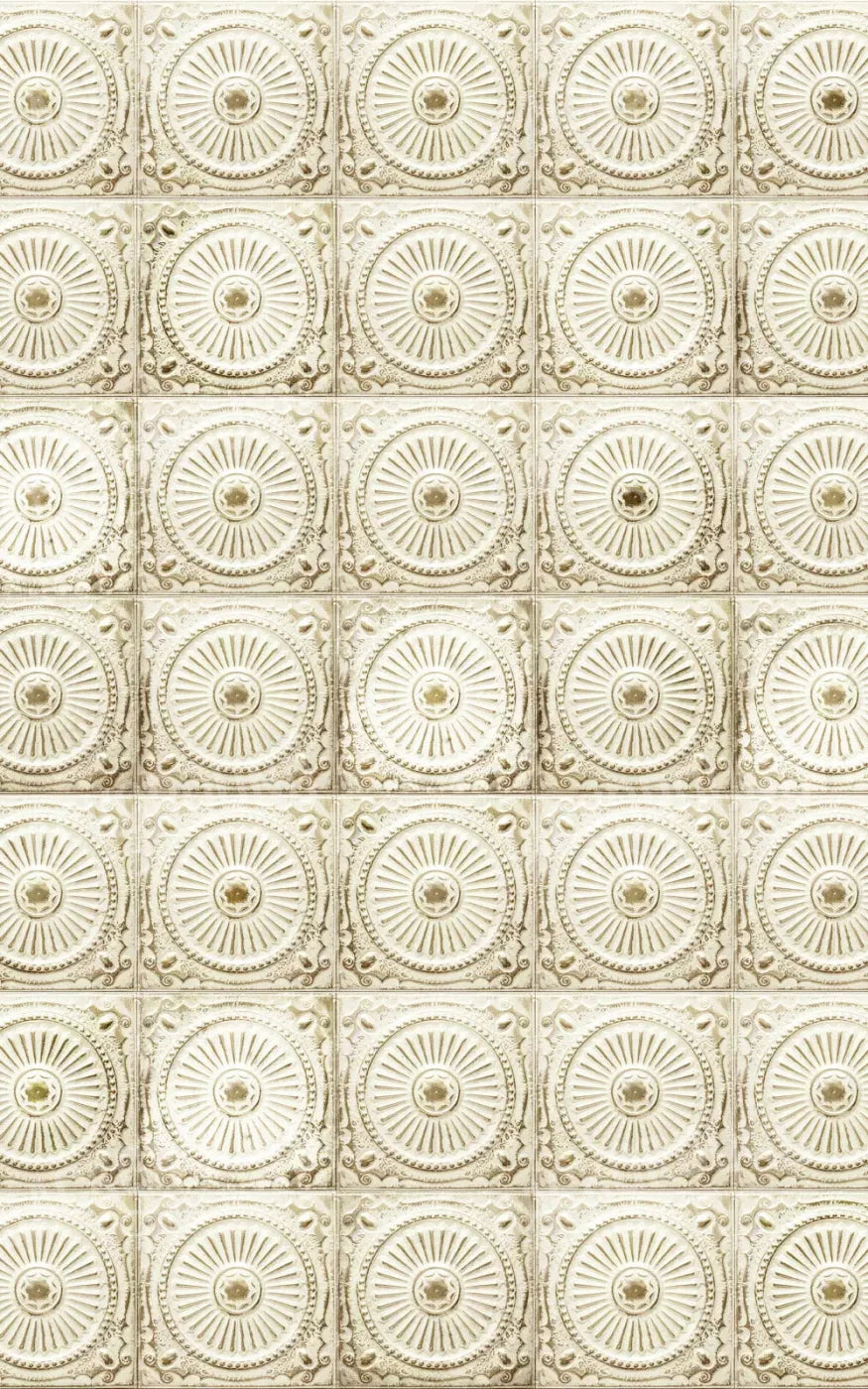 Loop 9X14 Ultracloth ( 108 X 168 Inch ) Backdrop