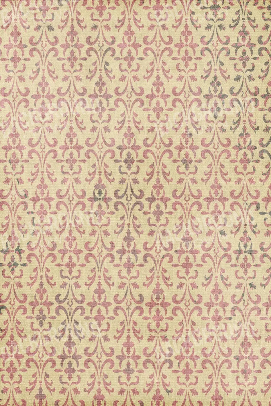 Lorna 5X8 Ultracloth ( 60 X 96 Inch ) Backdrop
