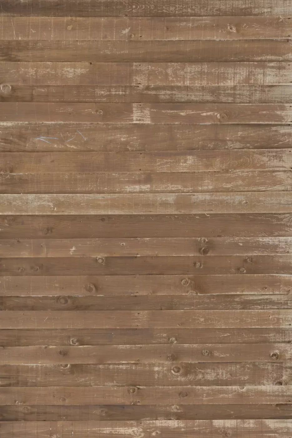 Louis Backdrop