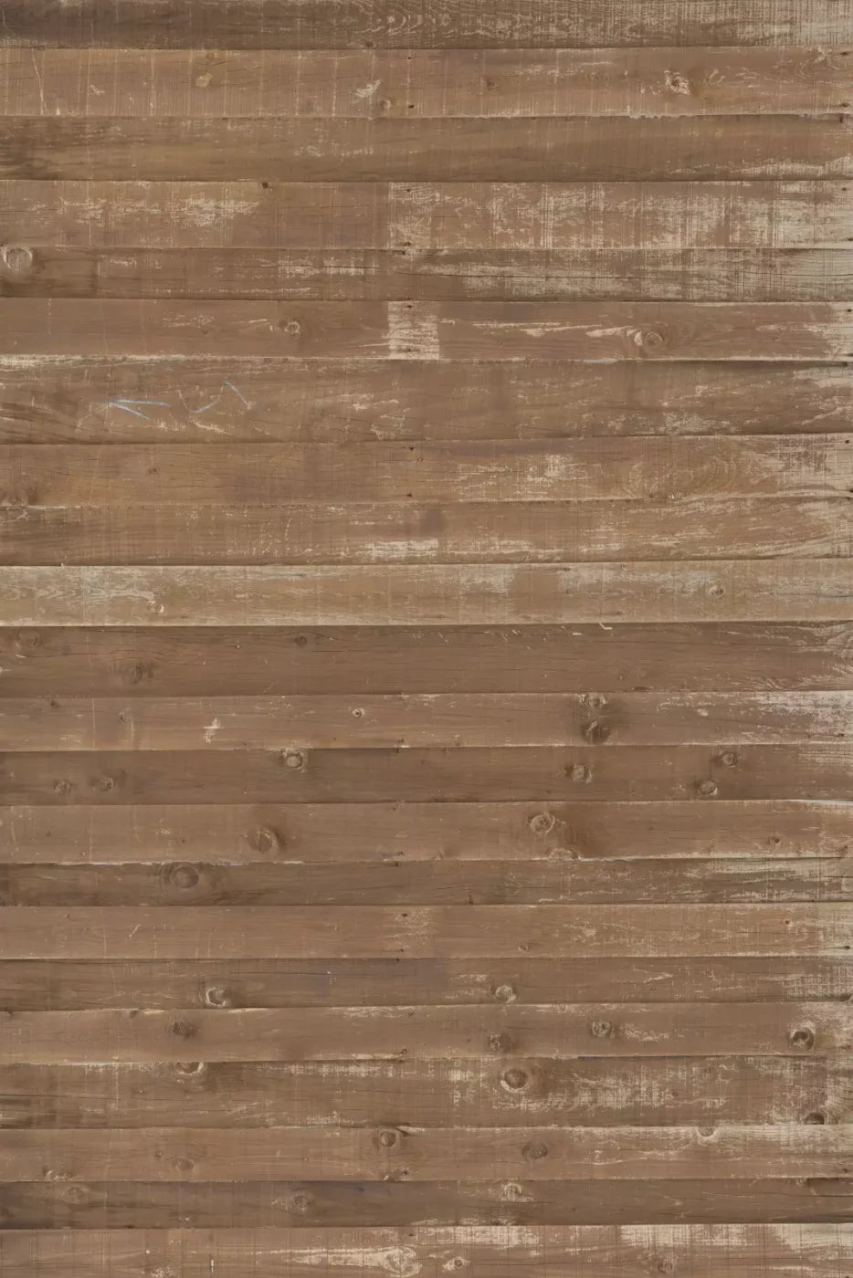 Louis Backdrop