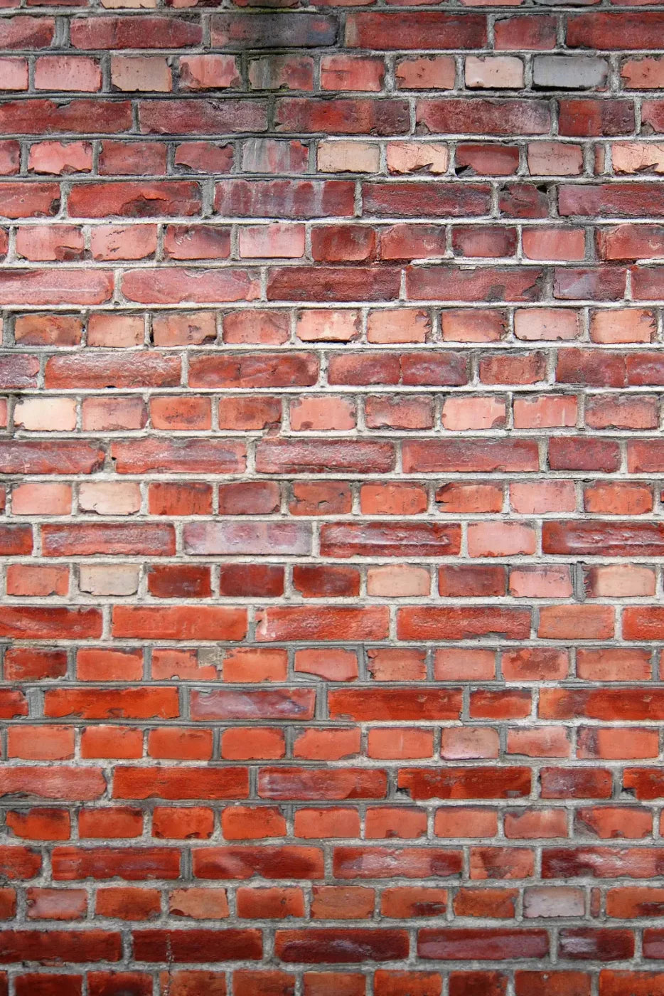 Love That Brick Backdrop