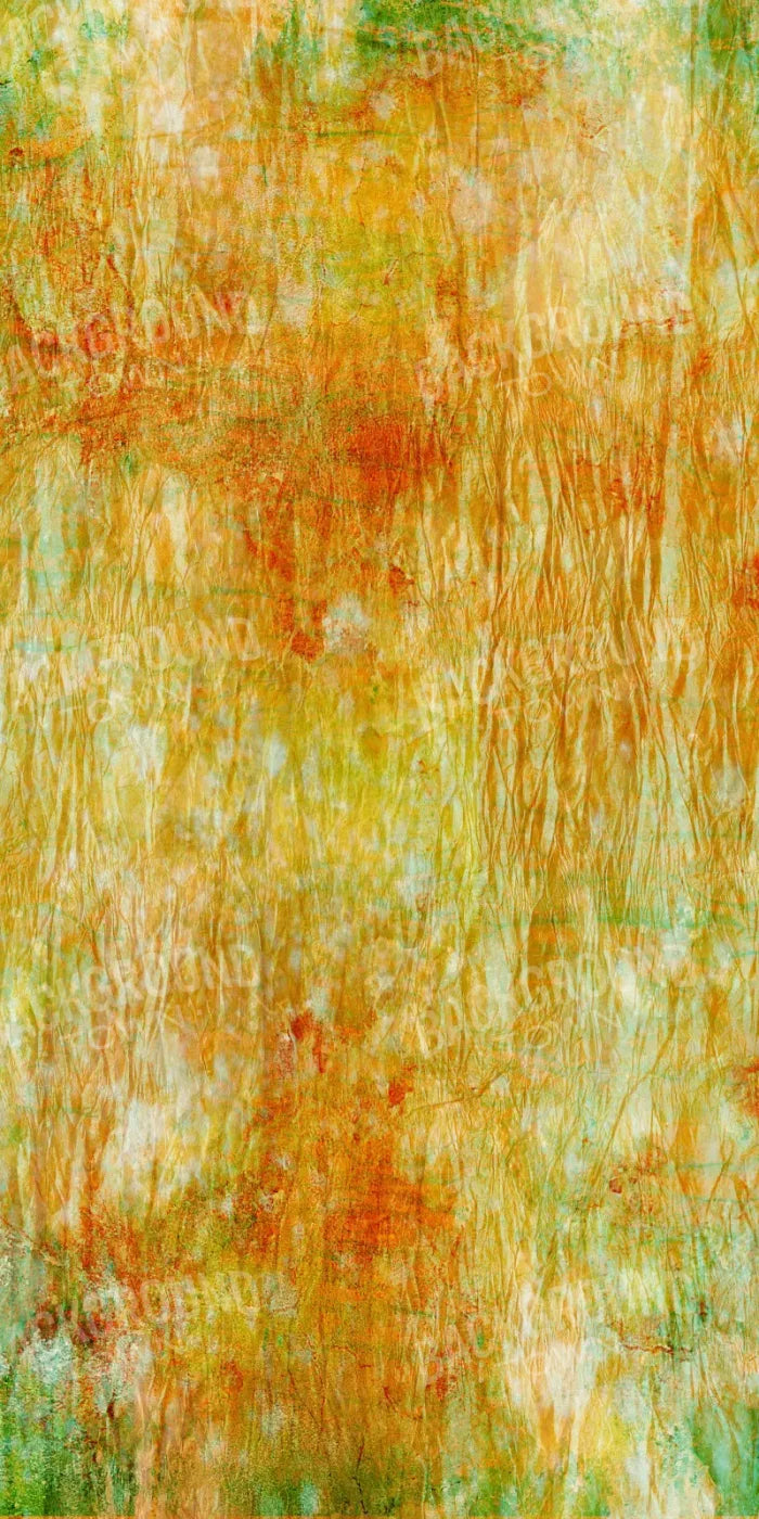 Lucid 10X20 Ultracloth ( 120 X 240 Inch ) Backdrop