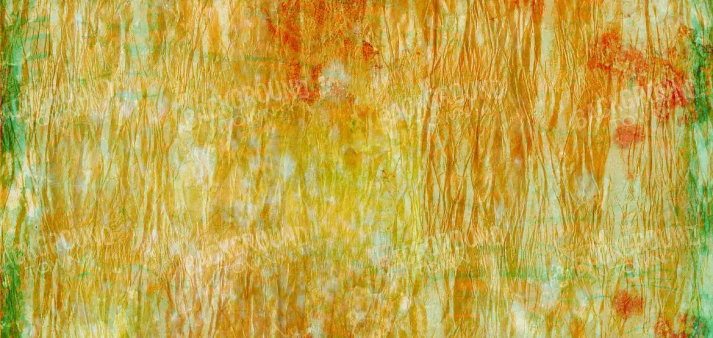Lucid 16X8 Ultracloth ( 192 X 96 Inch ) Backdrop