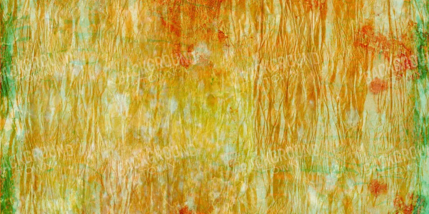 Lucid 20X10 Ultracloth ( 240 X 120 Inch ) Backdrop