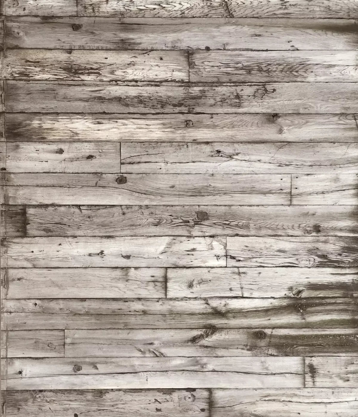 Lumberjack 10X12 Ultracloth ( 120 X 144 Inch ) Backdrop