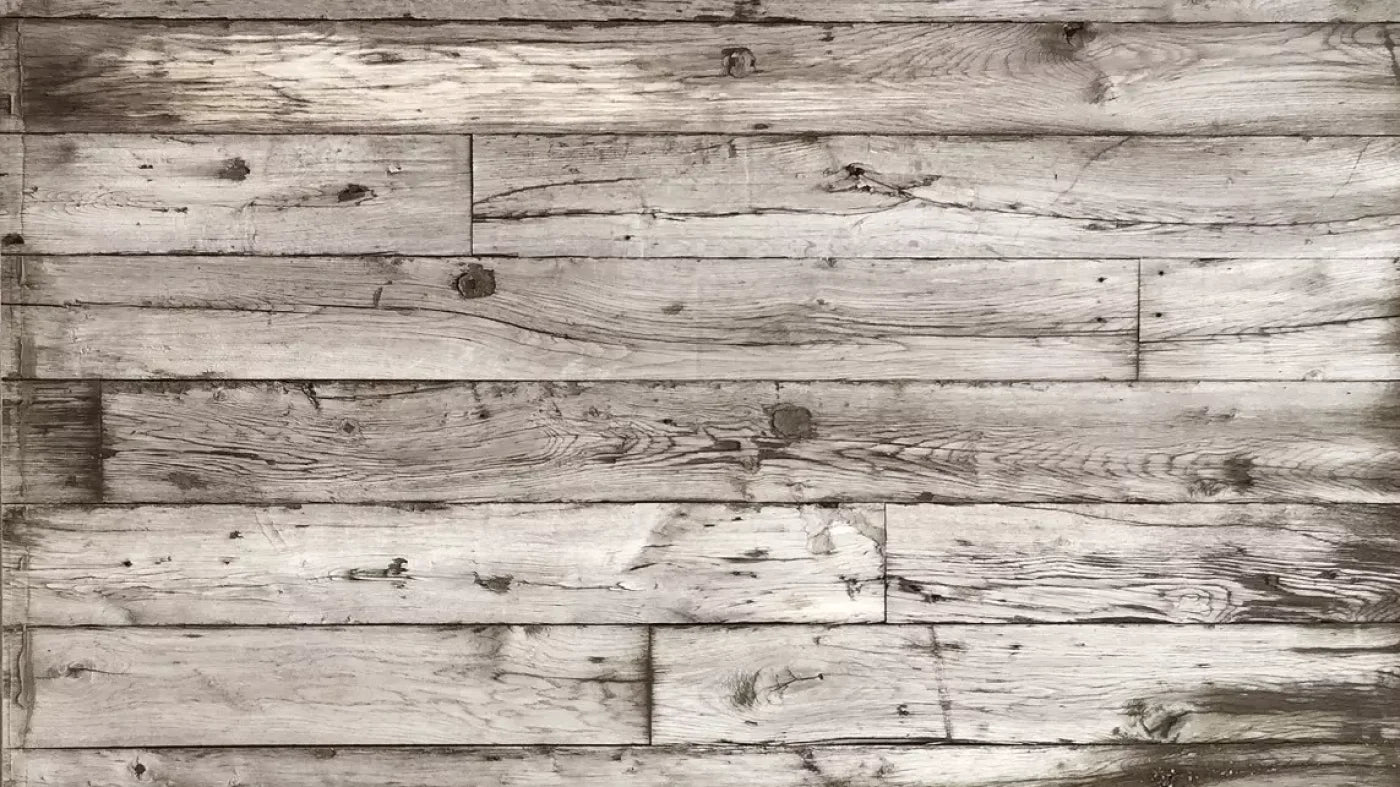 Lumberjack 14X8 Ultracloth ( 168 X 96 Inch ) Backdrop