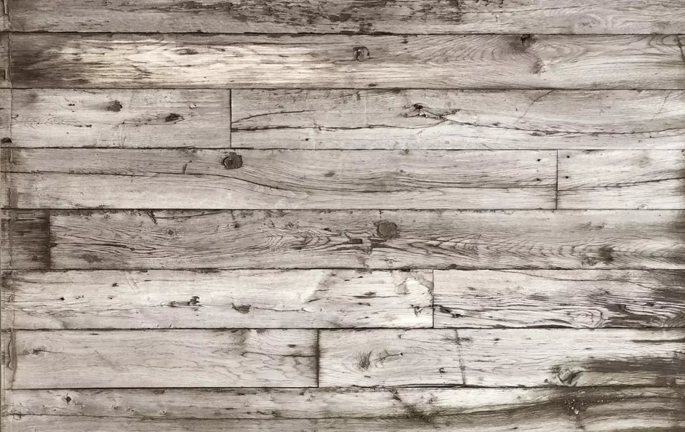 Lumberjack 16X10 Ultracloth ( 192 X 120 Inch ) Backdrop