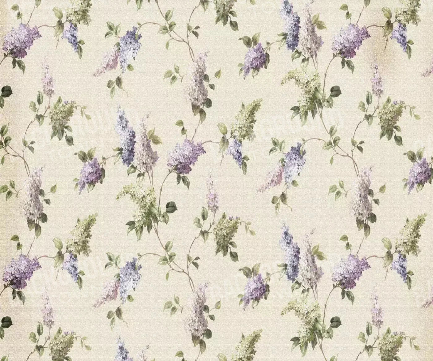 Mabel 5X42 Fleece ( 60 X 50 Inch ) Backdrop